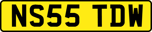 NS55TDW