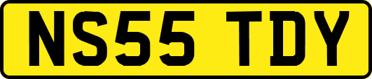 NS55TDY