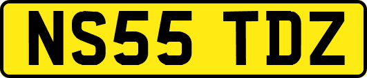 NS55TDZ