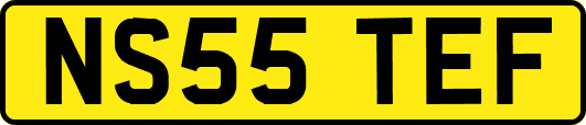 NS55TEF