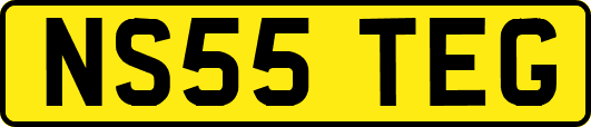 NS55TEG