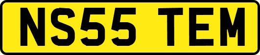 NS55TEM