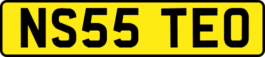 NS55TEO