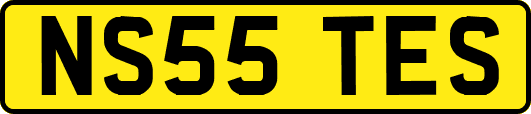 NS55TES