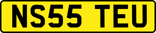 NS55TEU
