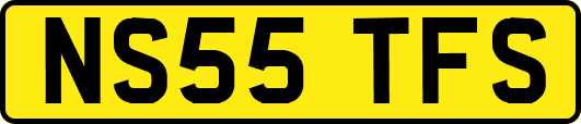 NS55TFS