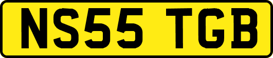 NS55TGB
