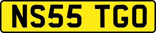 NS55TGO