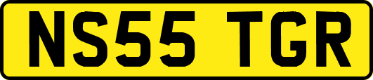 NS55TGR