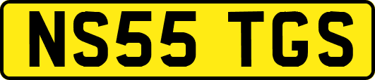 NS55TGS