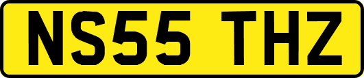 NS55THZ