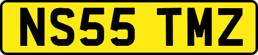 NS55TMZ
