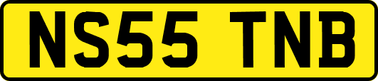 NS55TNB