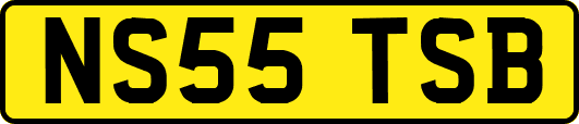 NS55TSB