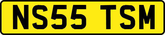 NS55TSM