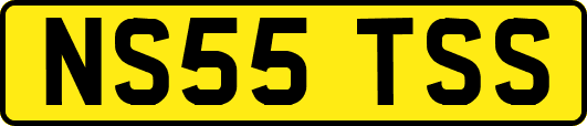 NS55TSS