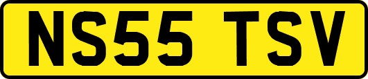 NS55TSV