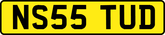NS55TUD