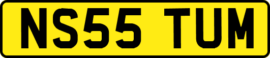 NS55TUM