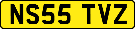 NS55TVZ