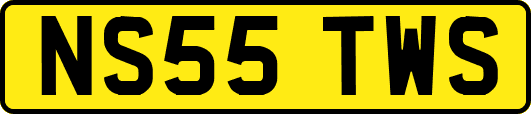 NS55TWS