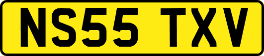 NS55TXV
