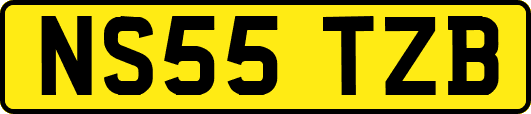 NS55TZB