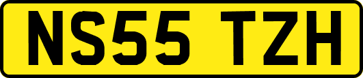 NS55TZH