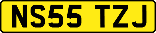 NS55TZJ