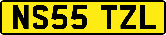 NS55TZL