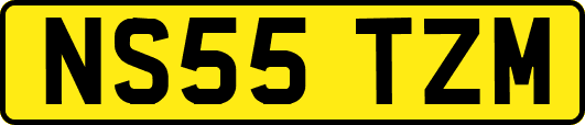 NS55TZM
