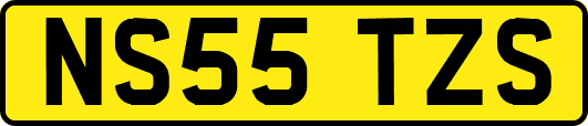NS55TZS