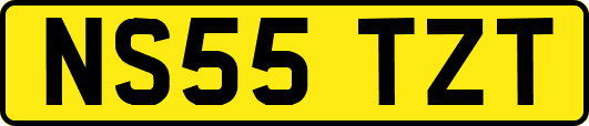 NS55TZT
