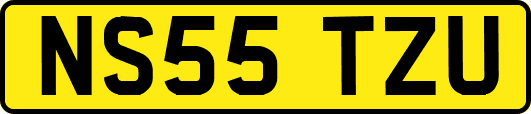 NS55TZU