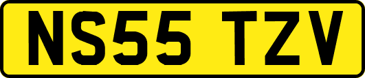 NS55TZV