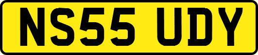 NS55UDY