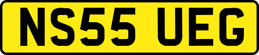 NS55UEG