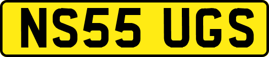 NS55UGS
