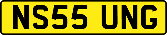 NS55UNG