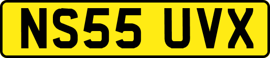 NS55UVX