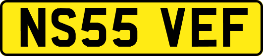 NS55VEF