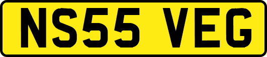 NS55VEG