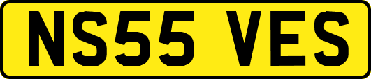 NS55VES