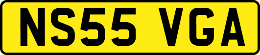 NS55VGA