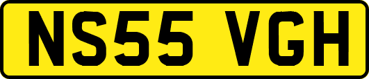 NS55VGH