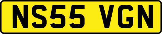 NS55VGN
