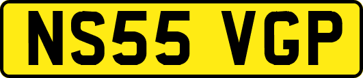 NS55VGP