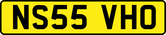 NS55VHO
