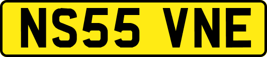 NS55VNE