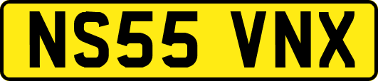 NS55VNX